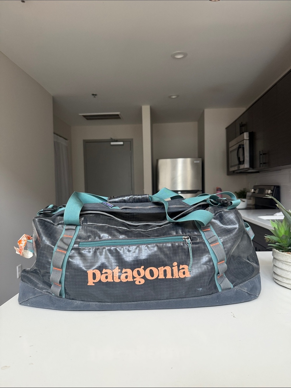 Patagonia Black Hole Duffel 60L Navy with Teal Straps and Salmon Logo